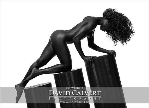 Artistic Nude Photo by Photographer David Calvert