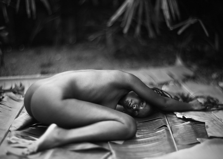 Artistic Nude Photo by Photographer Dwayne Martin.