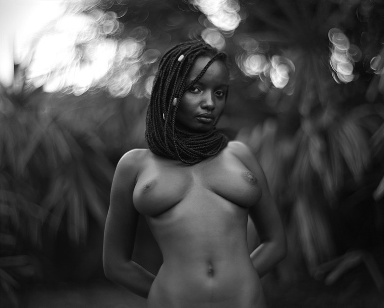 Artistic Nude Photo by Photographer Dwayne Martin