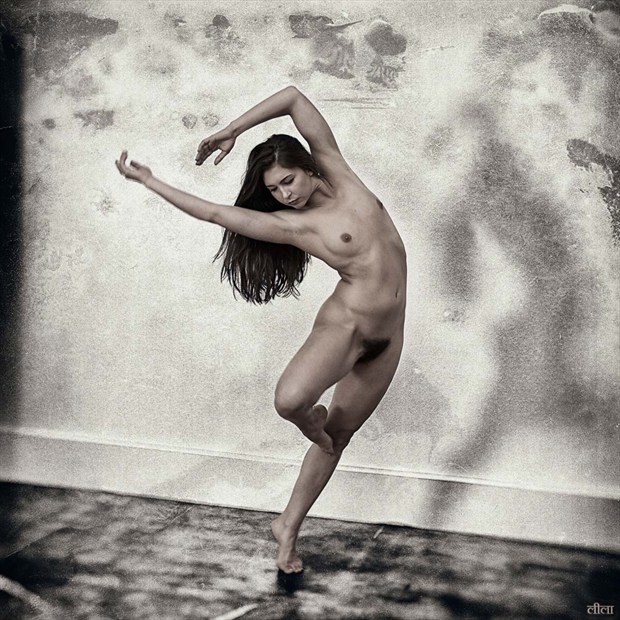 Artistic Nude Photo by Photographer Edward Maesen