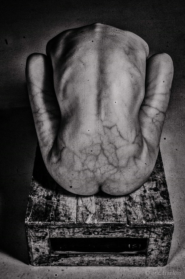 Artistic Nude Photo by Photographer Eric Franklin