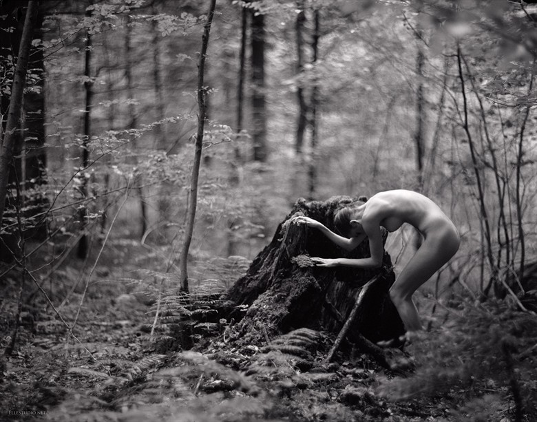 Artistic Nude Photo by Photographer Fabien ElleStudio