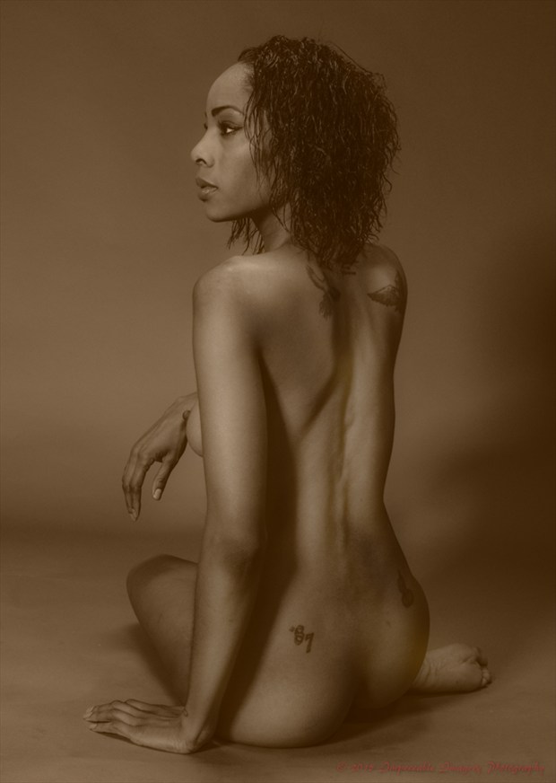 Artistic Nude Photo by Photographer Impeccable Imagery Photography