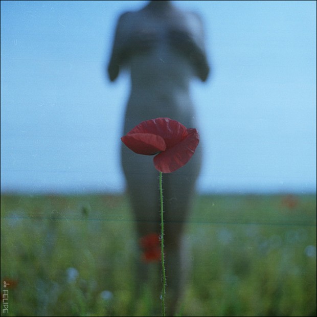 Artistic Nude Photo by Photographer Marius Filipoiu