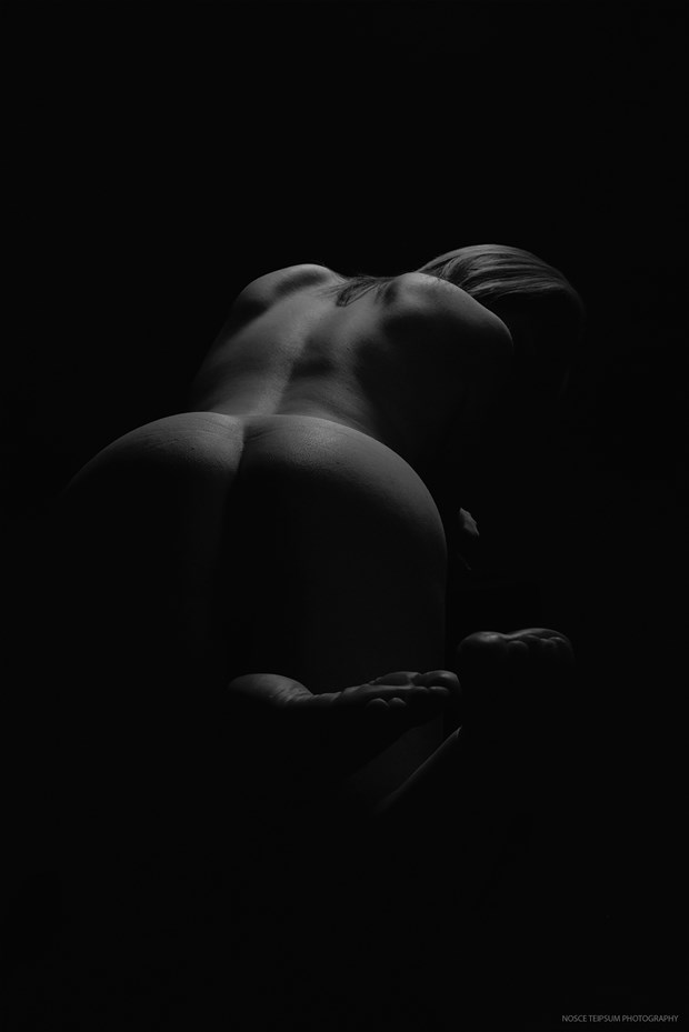 Artistic Nude Photo by Photographer NOSCE TEIPSUM PHOTOGRAPHY