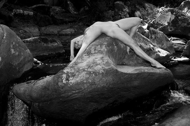 Artistic Nude Photo by Photographer NatLight Studios