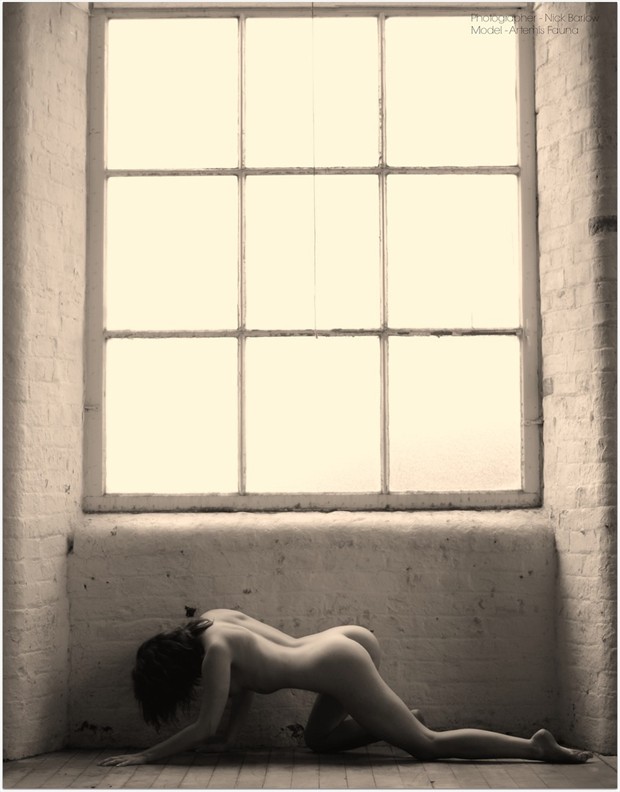 Artistic Nude Photo by Photographer Nick