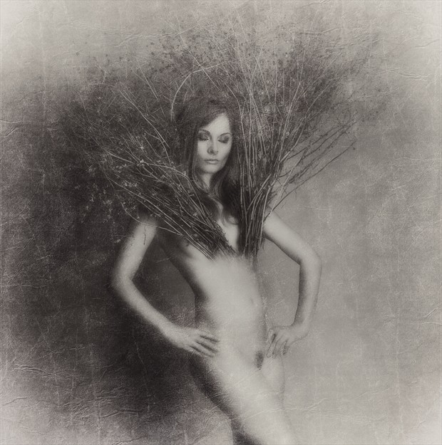 Artistic Nude Photo by Photographer XF 15