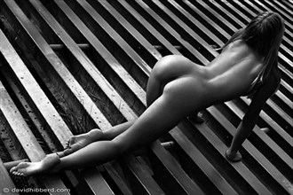 Artistic Nude Photo by Photographer davidhibberd
