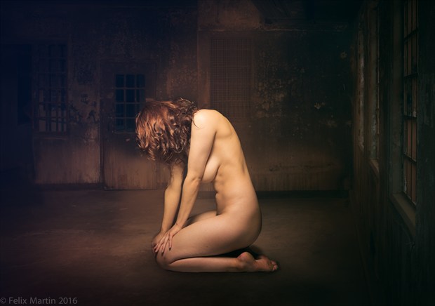 Artistic Nude Photo by Photographer felix martin