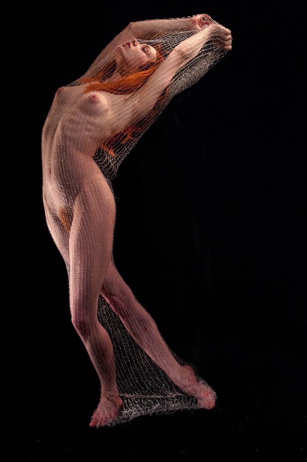 Artistic Nude Photo by Photographer pmurph