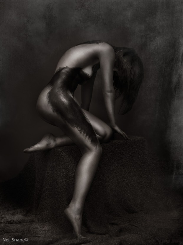 Artistic Nude Silhouette Photo by Model Axioma
