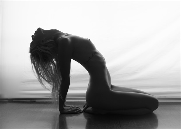 Artistic Nude Silhouette Photo by Model Hanna Grace