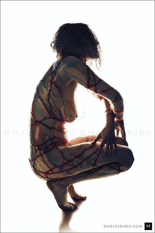 Artistic Nude Silhouette Photo by Model erin elizabeth