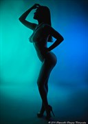 Artistic Nude Silhouette Photo by Photographer Impeccable Imagery Photography