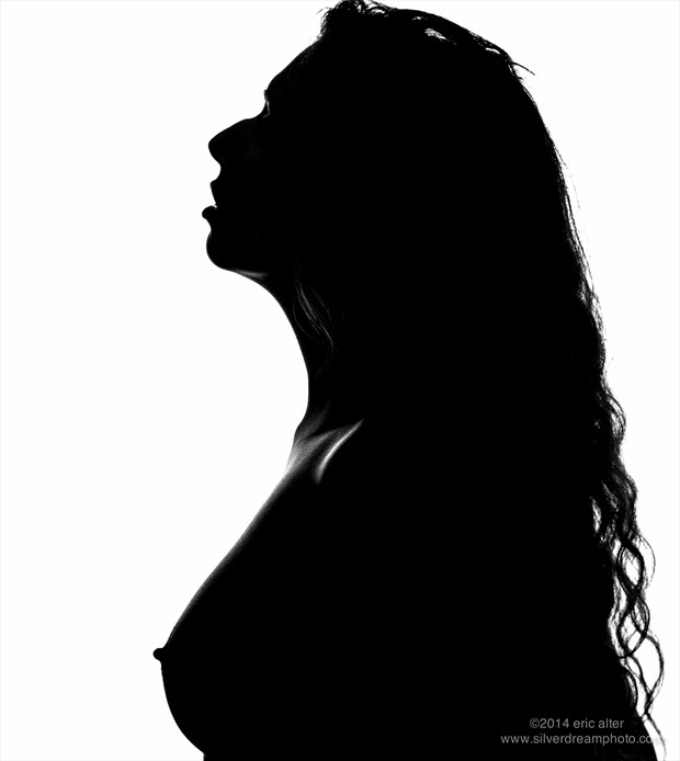 Artistic Nude Silhouette Photo by Photographer SilverDreamPhotography