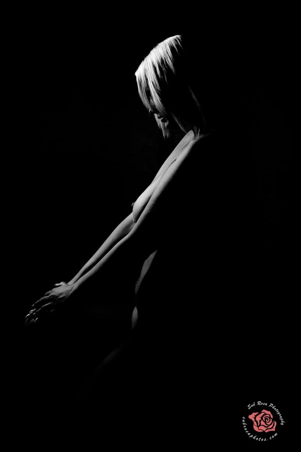 Artistic Nude Silhouette Photo by Photographer SubRosaPhotos
