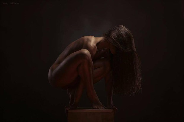 Artistic Nude Studio Lighting Artwork by Model Michelle Amara