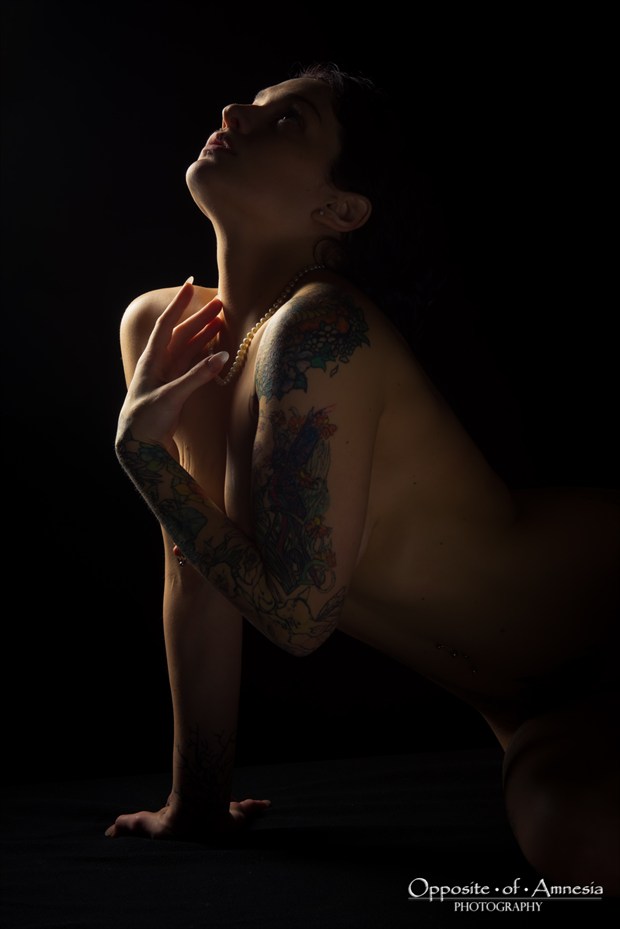 Artistic Nude Studio Lighting Artwork by Photographer Opposite of Amnesia Photography
