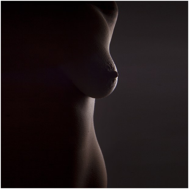 Artistic Nude Studio Lighting Photo by Photographer CurvedLight