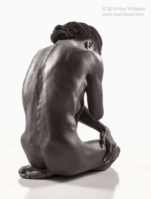 Artistic Nude Studio Lighting Photo by Photographer Roy Whiddon
