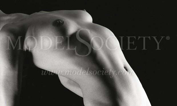 Artistic Nude Studio Lighting Photo by Photographer david428