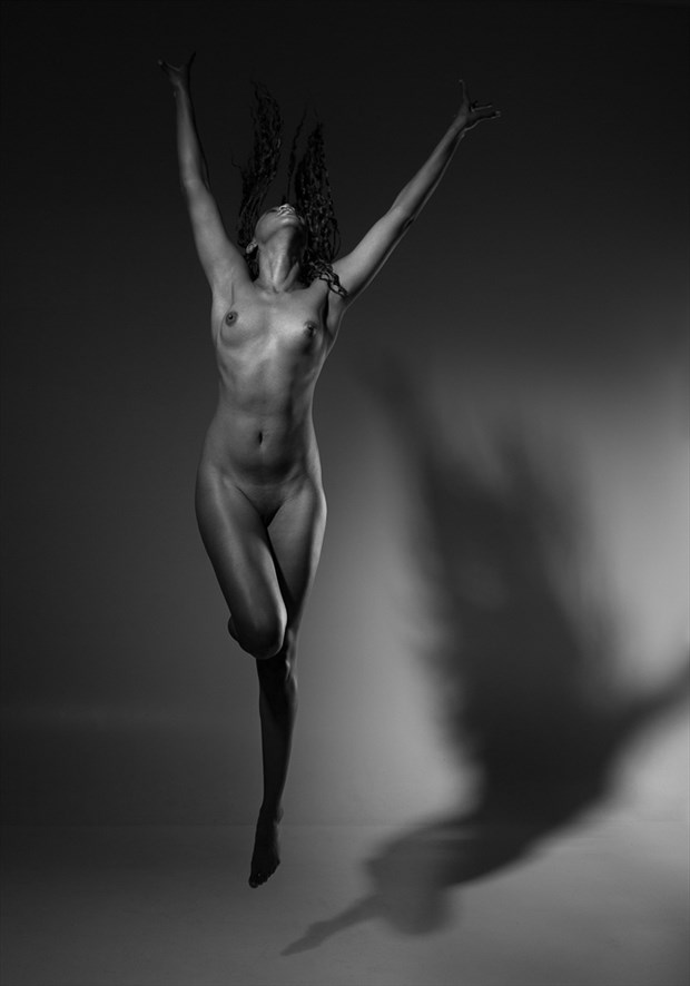 Artistic Nude Studio Lighting Photo by Photographer francescabliss