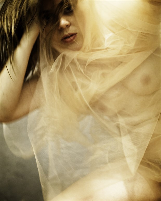 Artistic Nude Studio Lighting Photo by Photographer wmzuback