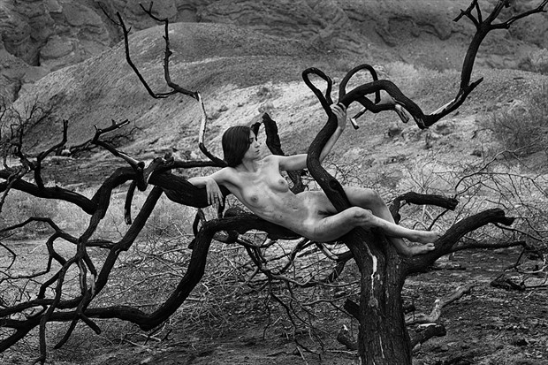 Artistic Nude Surreal Photo by Photographer MIchael Pannier