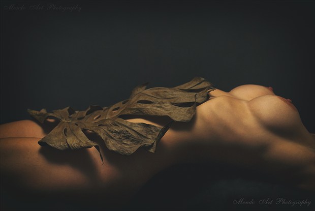 Artistic Nude Surreal Photo by Photographer Mondo