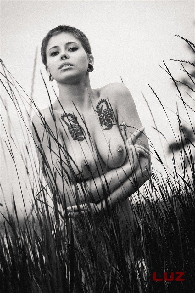 Artistic Nude Tattoos Photo by Photographer LUZ