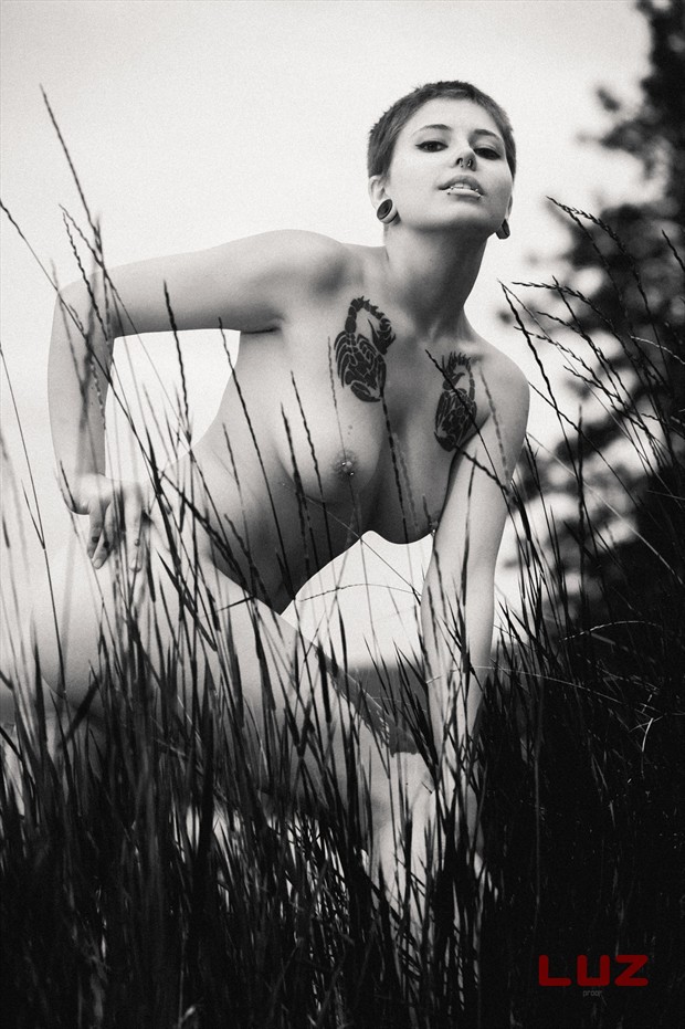 Artistic Nude Tattoos Photo by Photographer LUZ