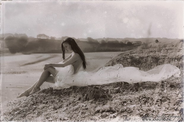 Artistic Nude Vintage Style Artwork by Photographer Anders Nielsen