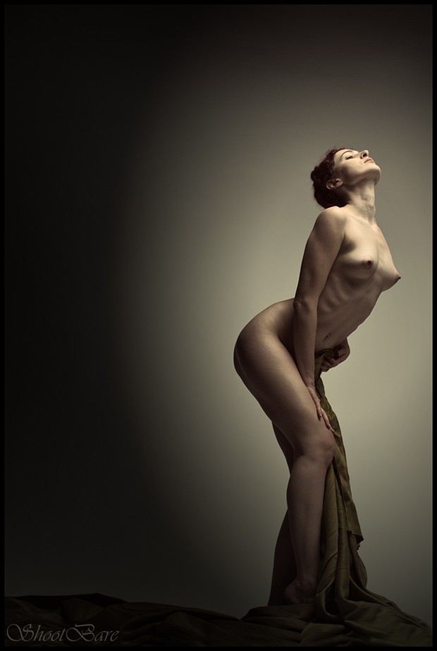 Artistic Nude Vintage Style Photo by Photographer Provoculos