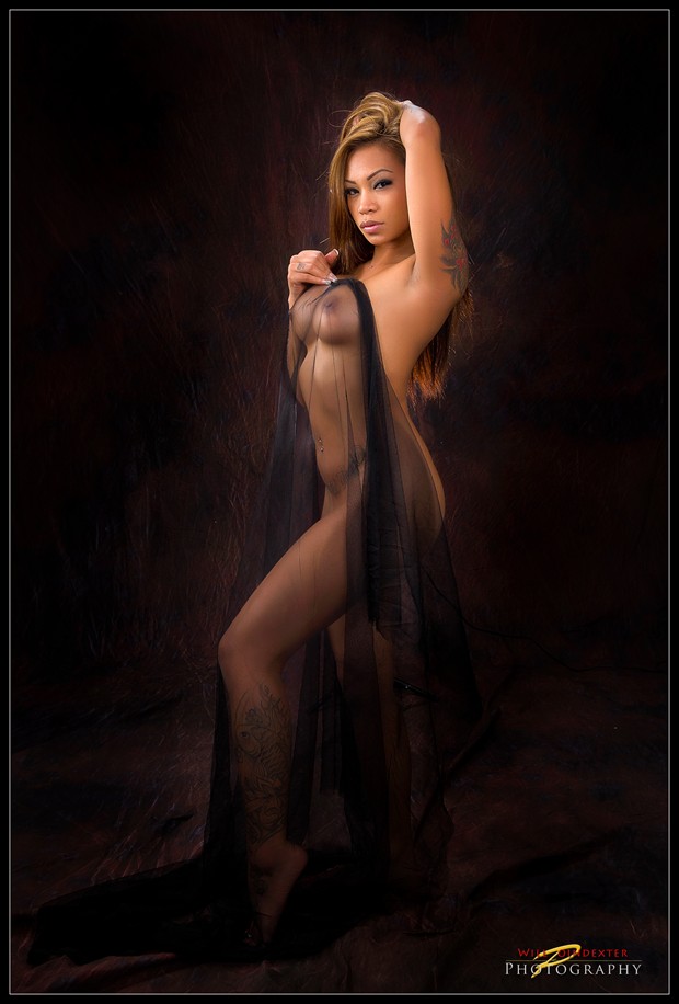 Ashley Artistic Nude Photo by Photographer EroArtistic Images