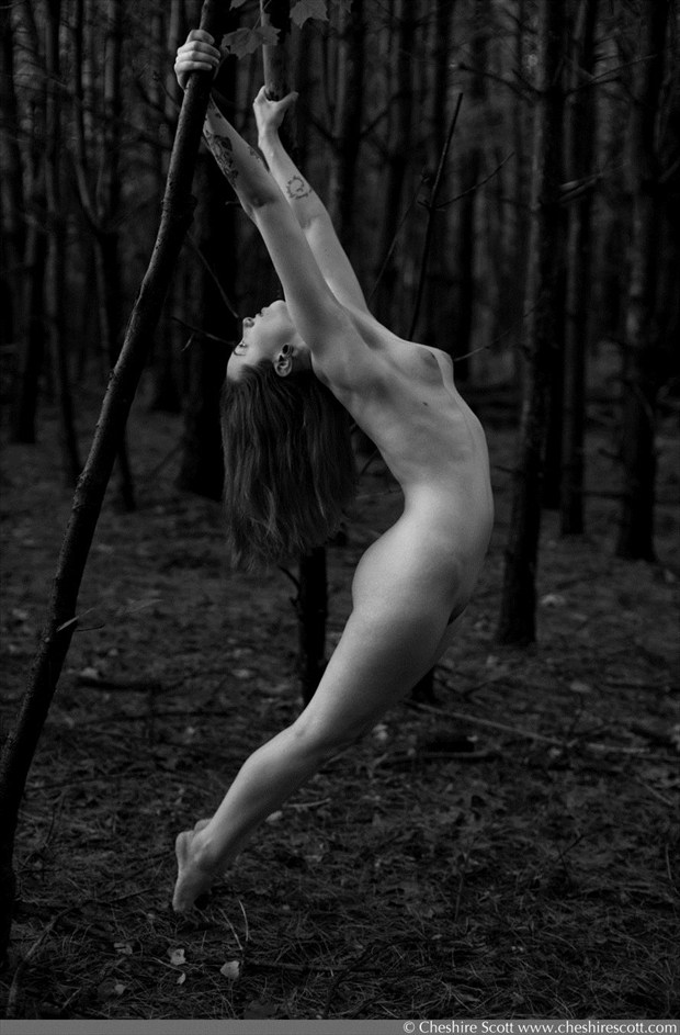 Ashley Laura Artistic Nude Artwork by Photographer Cheshire Scott