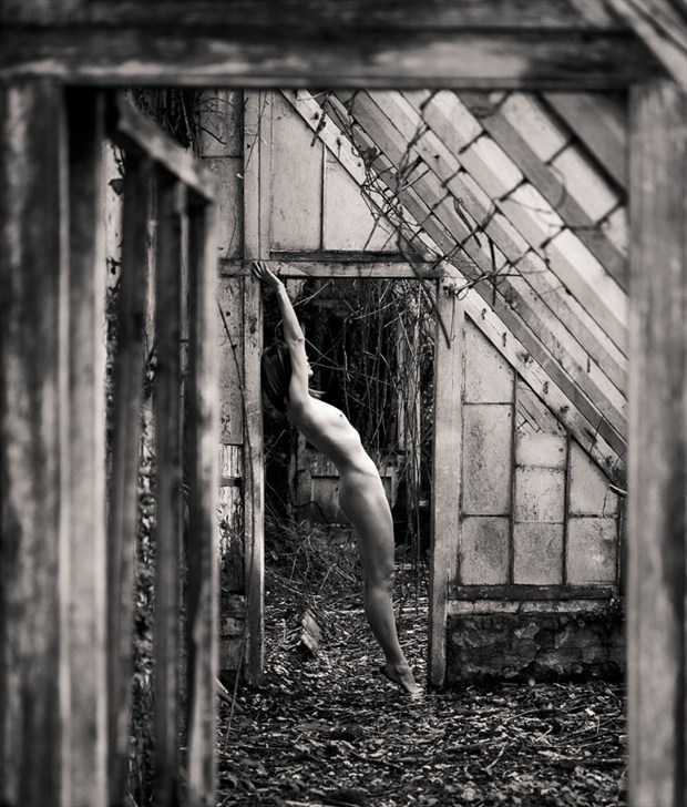 At a stretch.. Artistic Nude Photo by Model Marmalade