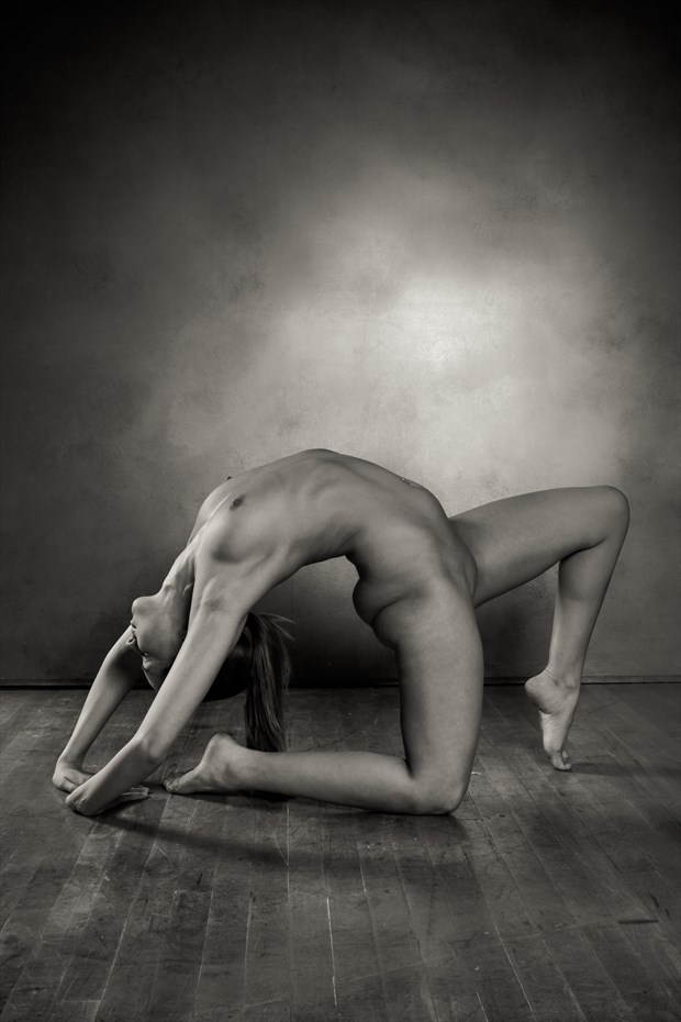 Athletic Beauty Artistic Nude Photo by Photographer Risen Phoenix