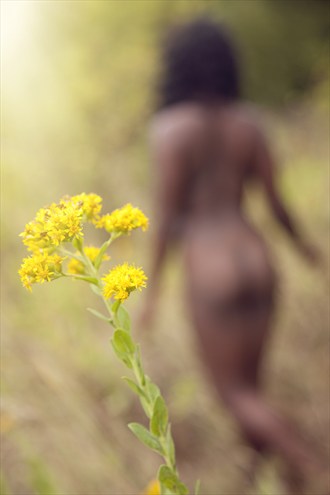 Autumn Dream Artistic Nude Photo by Photographer Openshaw Photo