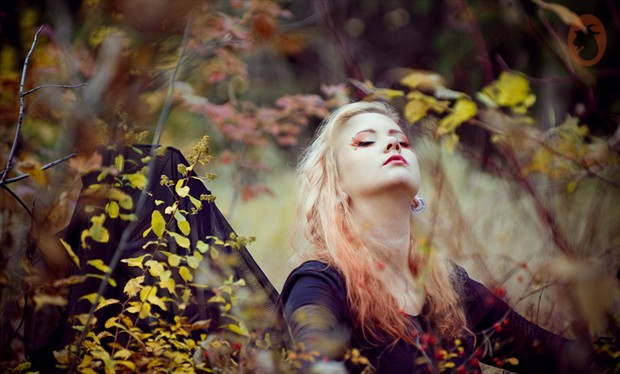 Autumn Lady Nature Photo by Photographer Mlle Ch%C3%A8vre