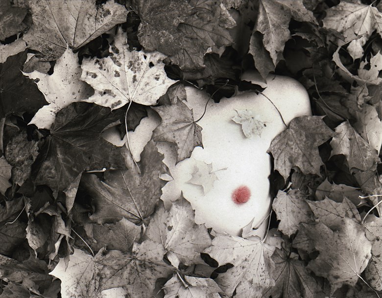 Autumn leafs Artistic Nude Photo by Photographer StudioVi2