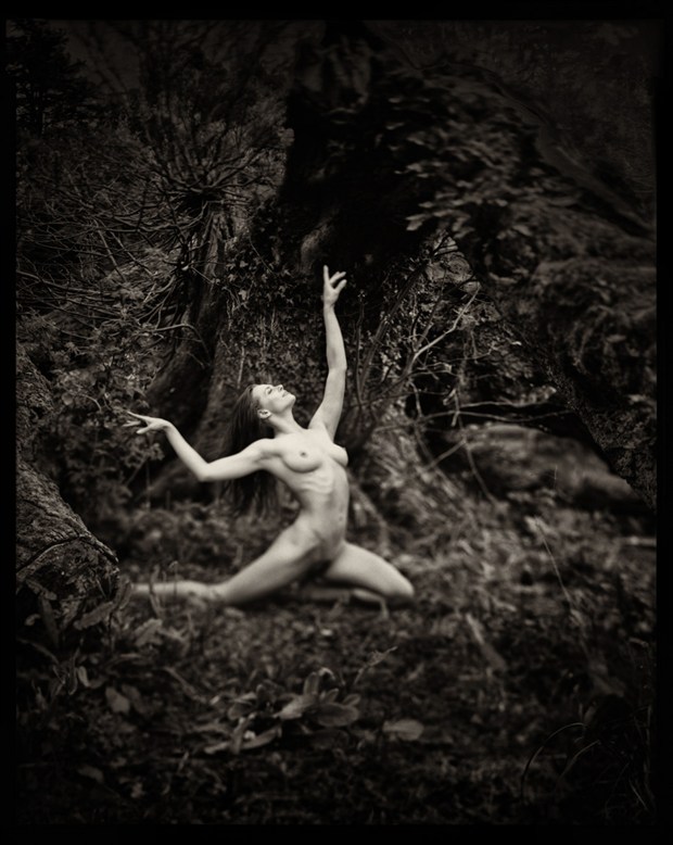 Ayla in the Woods Artistic Nude Photo by Photographer RayRapkerg