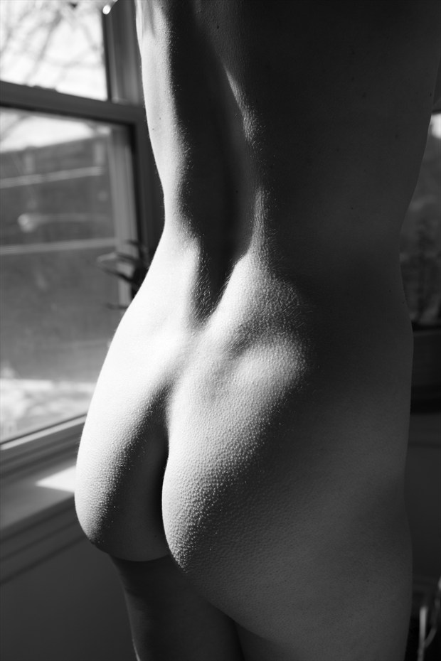 Back and Winter Light Artistic Nude Photo by Photographer Peter Le Grand