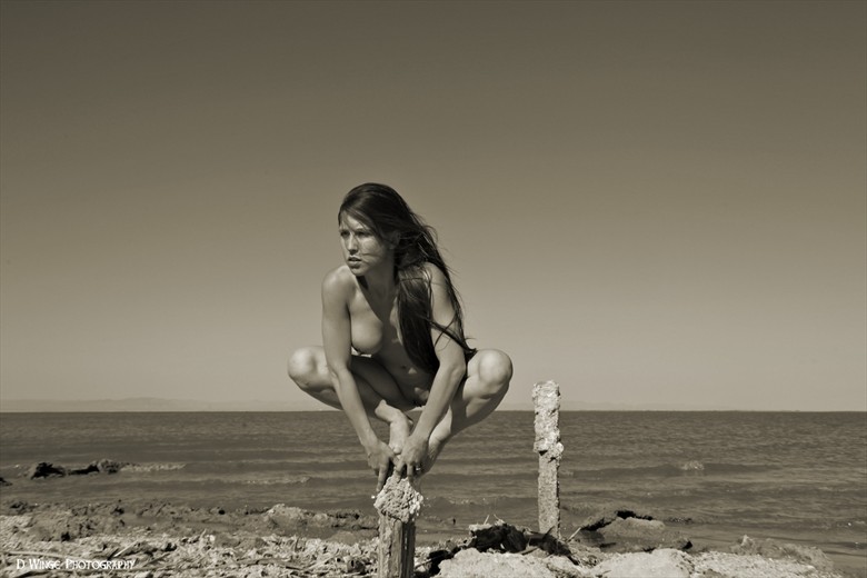 Balance of Will Artistic Nude Photo by Model Katz Pajamaz