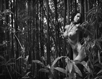 Bamboo Artistic Nude Photo by Photographer Jason Tag