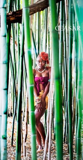 Bamboo Princess  Nature Photo by Model Nandi_Makeda