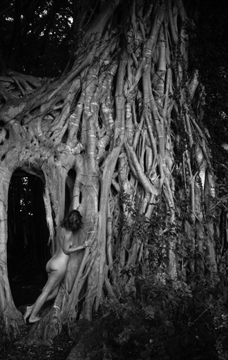 Banyan Girl Artistic Nude Artwork by Photographer patrickclark