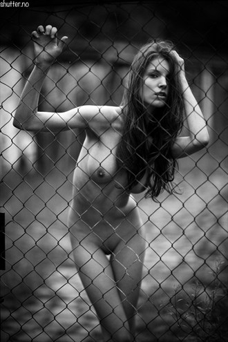 Barbora3 Artistic Nude Photo by Photographer Jan Petter K