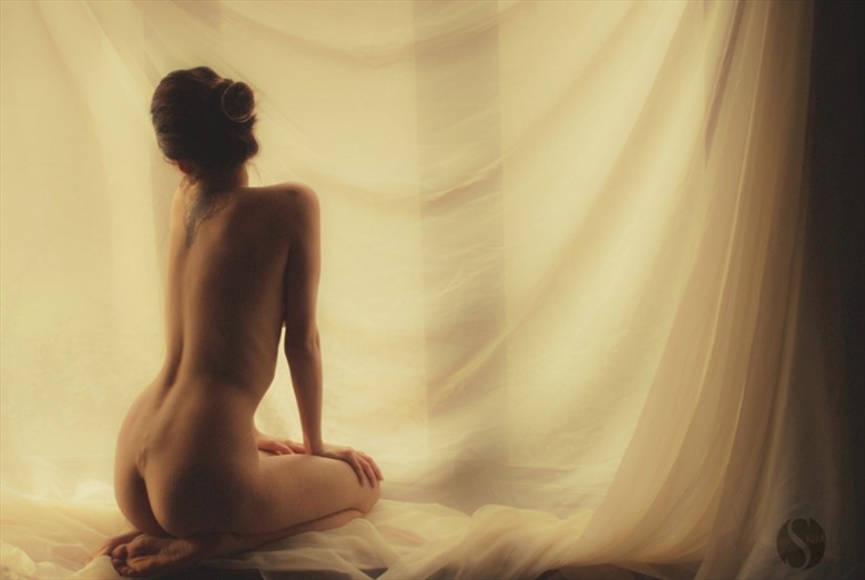 Bare Back  Implied Nude Photo by Model S nia