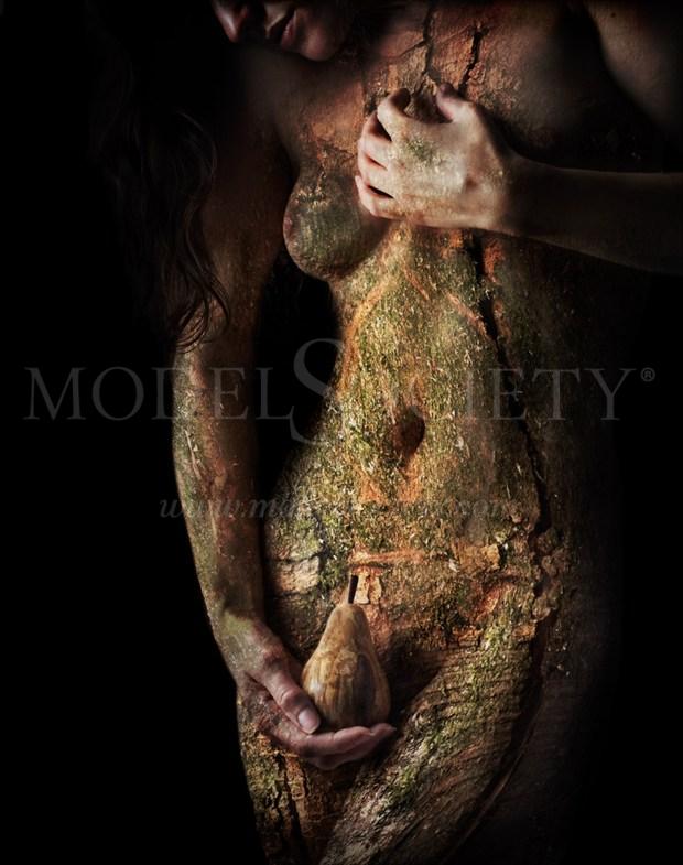 Bark torso 1 Artistic Nude Artwork by Photographer Dave Hunt